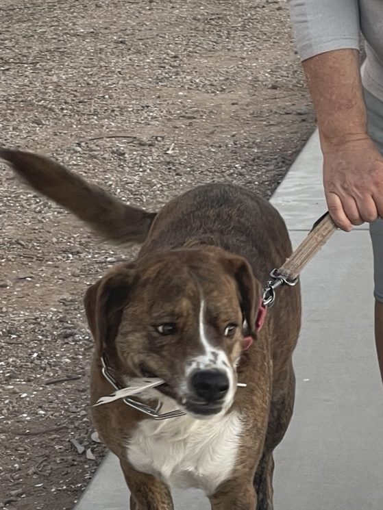 e9f9ad51-79bf-4a6a-a3a5-6d78a9b70861-1