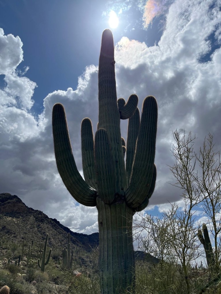 e13f4bc1-2b9d-4d74-84d1-2dc93c58d4db-1