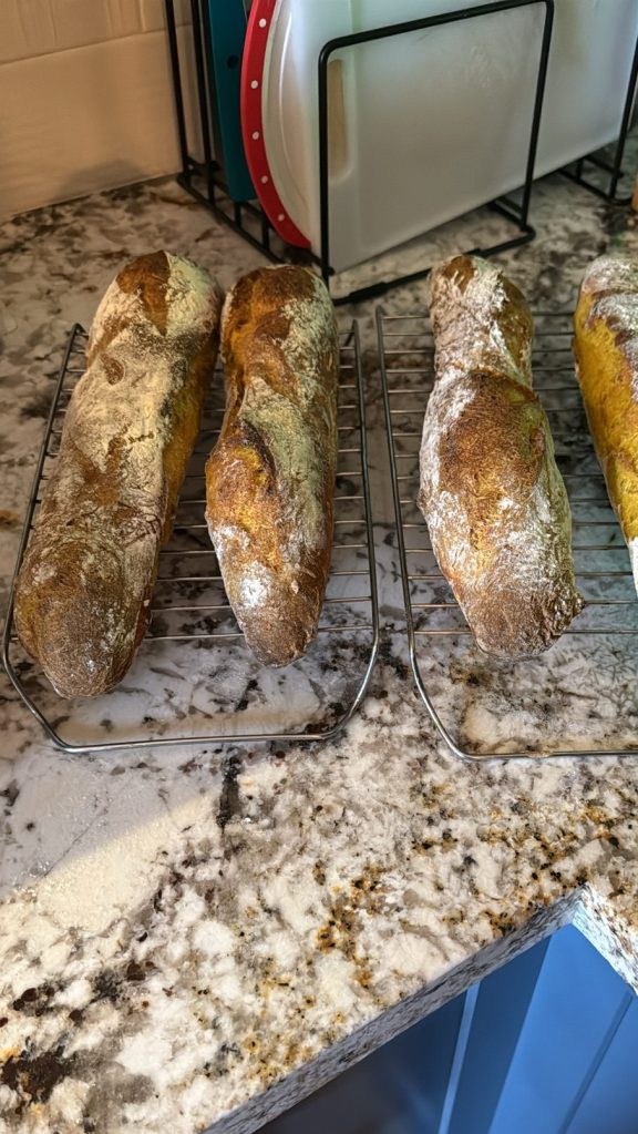 46e72f80-d8cb-4b1d-8260-4ec789e5fa45